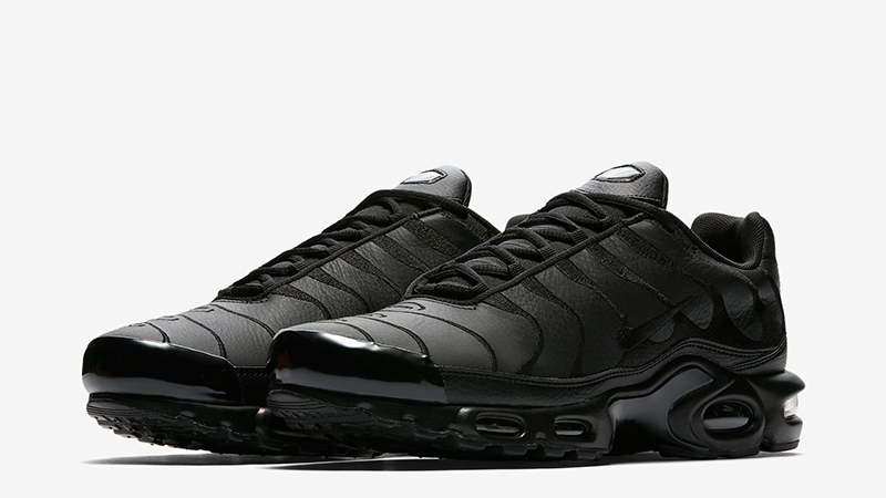 black tn plus